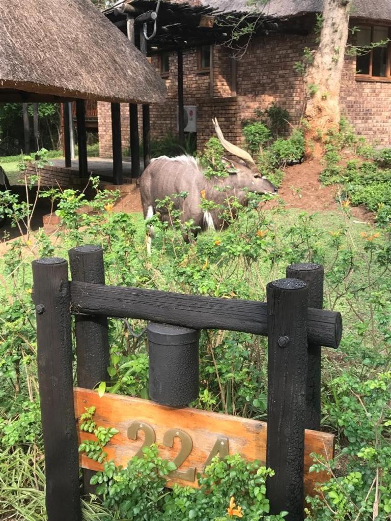 Kruger Park Lodge, Kubu Lodge 224 Hazyview Eksteriør bilde